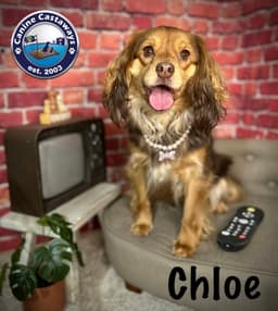 Chloe image 1