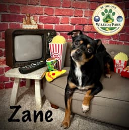 Zane image 2