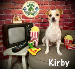 Kirby image 1