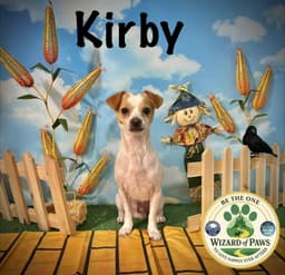 Kirby image 3