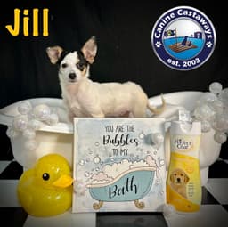 Jill image 3