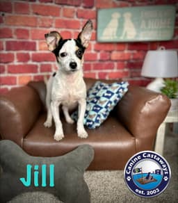 Jill image 1