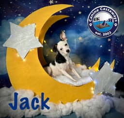 Jack image 2