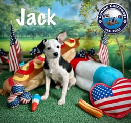Jack image 3