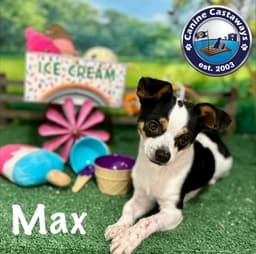 Max image 1