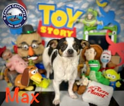 Max image 3