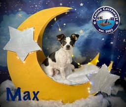 Max image 4