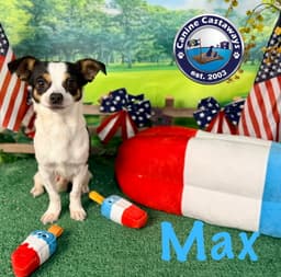 Max image 2
