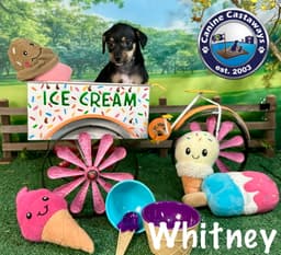 Whitney image 2