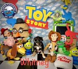 Whitney image 4