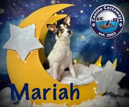 Mariah image 1