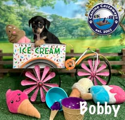 Bobby image 4