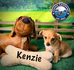 Kenzie image 3