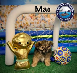 Mac image 2