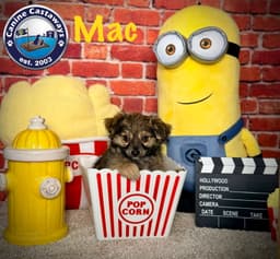 Mac image 3