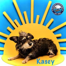 Kasey image 2