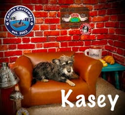Kasey image 3