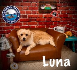 Luna image 3
