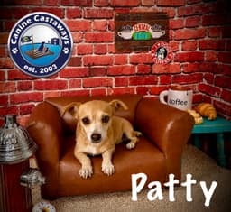 Patty image 2