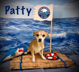 Patty image 3