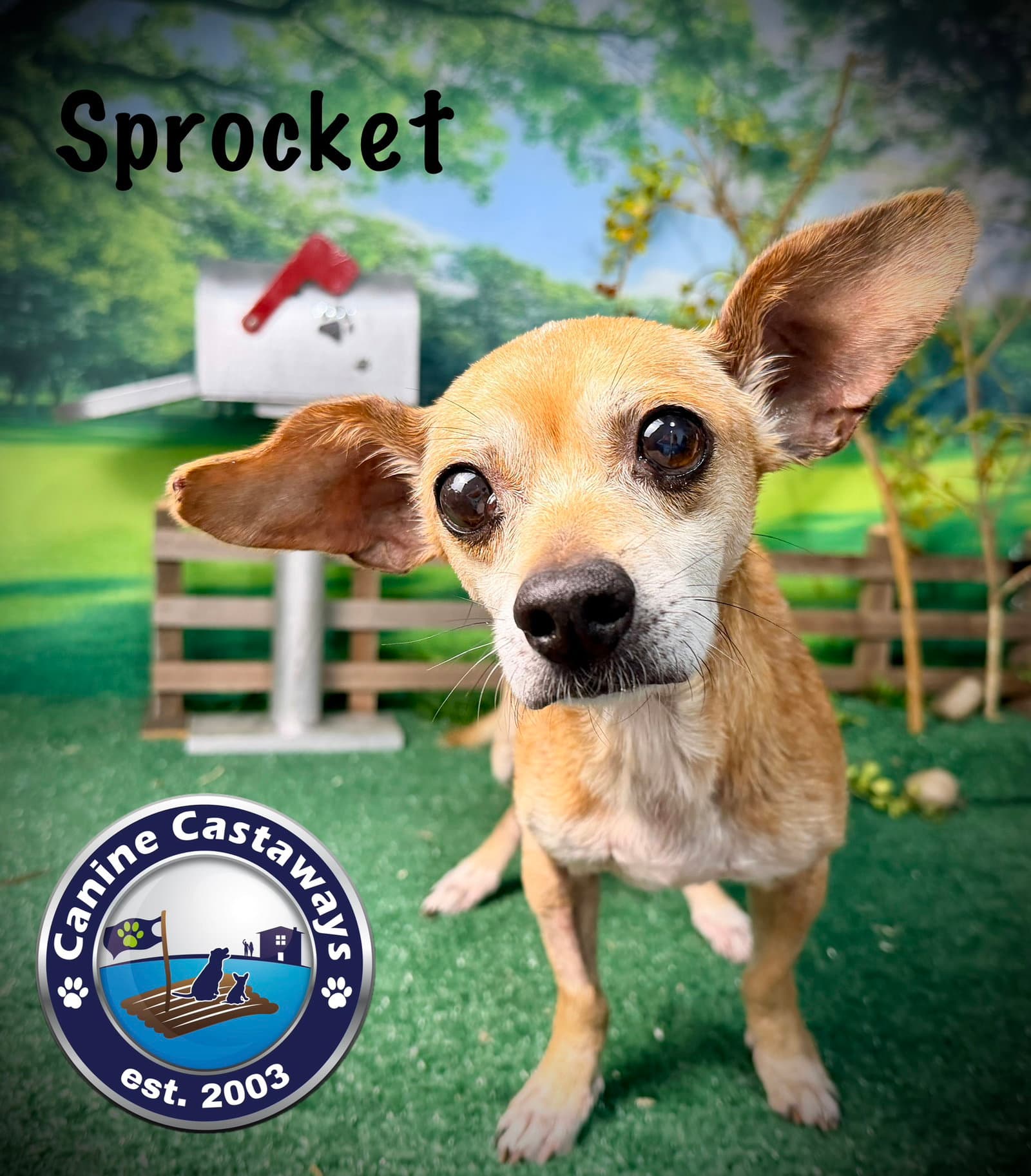 Sprocket