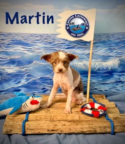 Martin image 2
