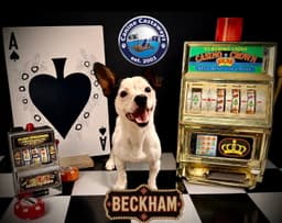 Beckham image 4