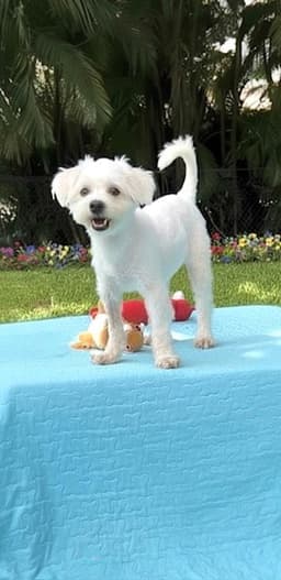 Casper image 1