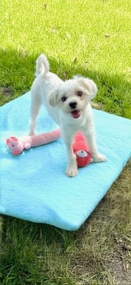 Casper image 2