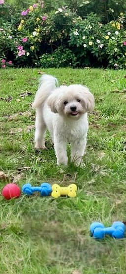 Casper image 3