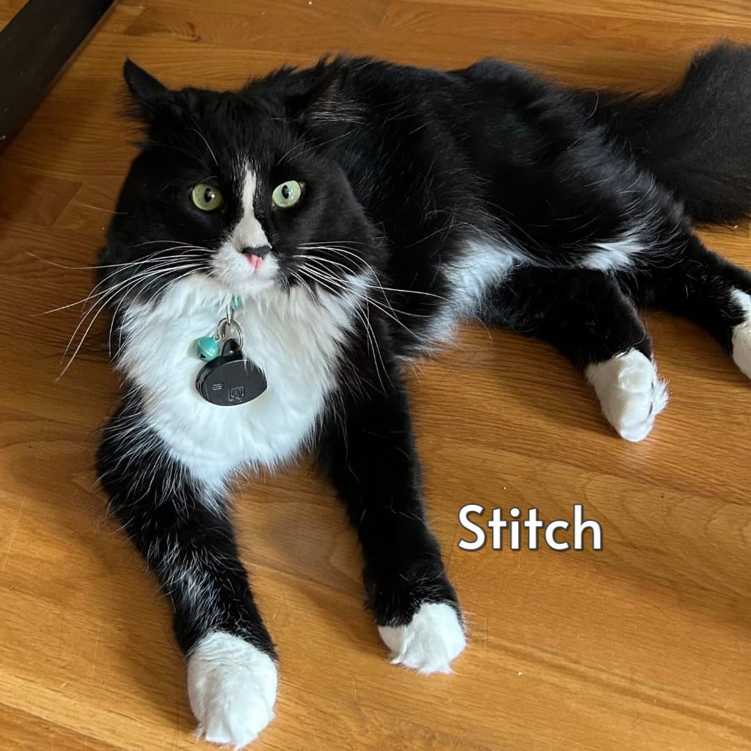 Stitch Courtesy Posting