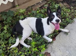 Zoey Ga image 1