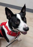 Zoey Ga image 2