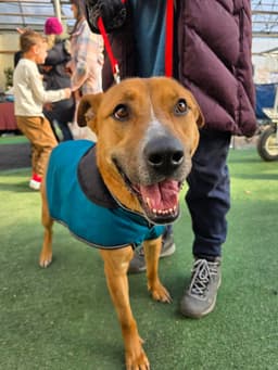 Rory image 3