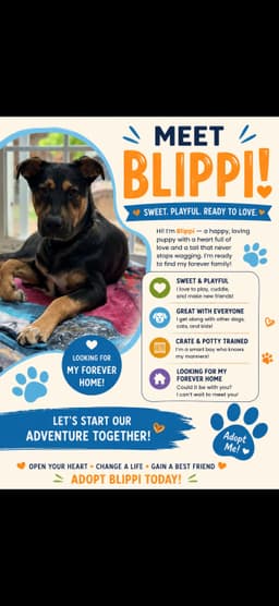 Blippi image 4
