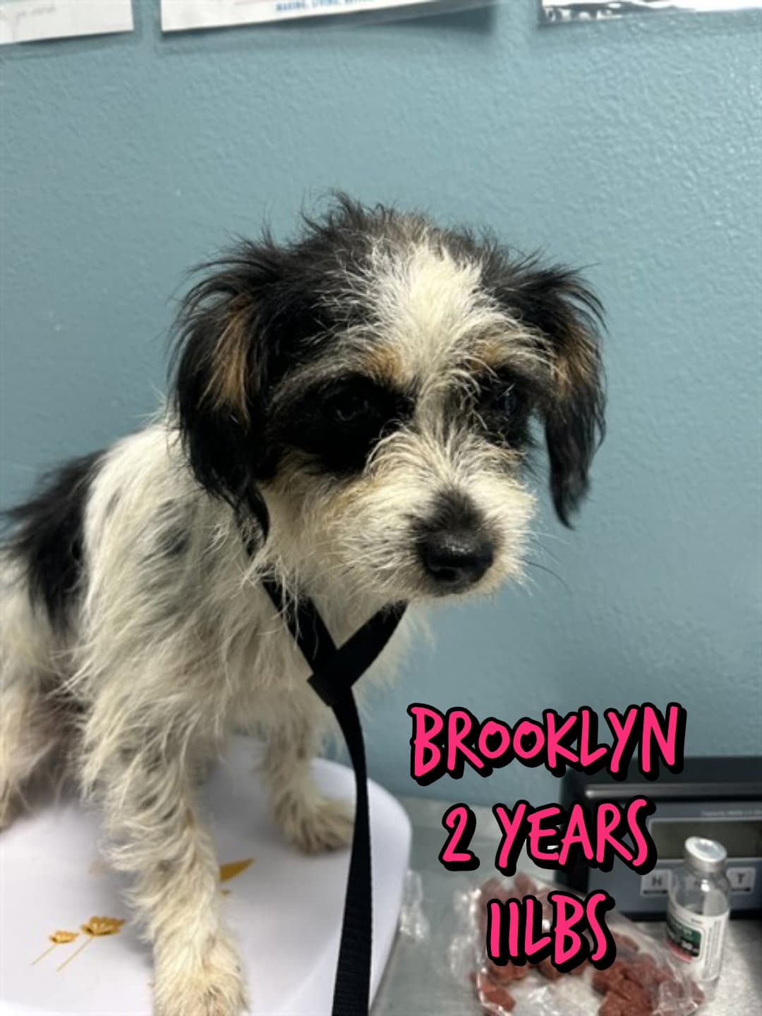 Brooklyn - Unknown