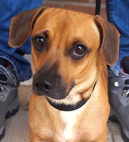 Waylon image 1
