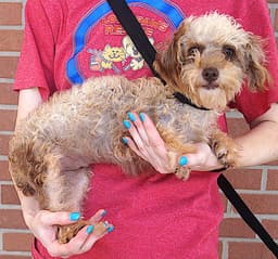 Fleecy image 1
