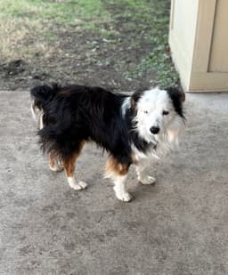 Astro image 2
