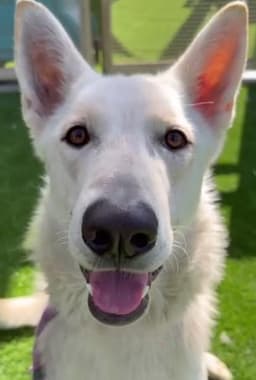 Caspar Aka Cassie image 1