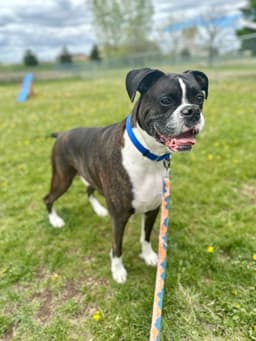 Cody Foster-To-Adopt Home image 1