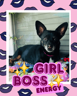 Coco Baby image 2