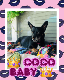 Coco Baby image 3