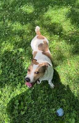 Buster image 3