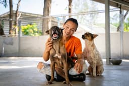 Tanbobby Soi Dog image 4