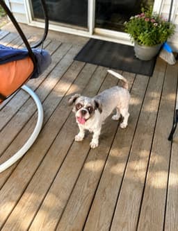 Otis image 1
