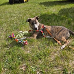 Kaiyah image 3
