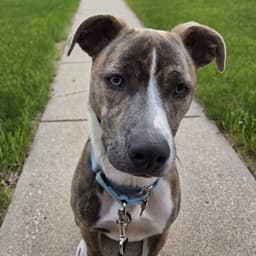 Kaiyah image 1