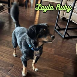 Layla Ruby image 4