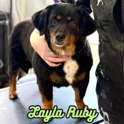 Layla Ruby image 2